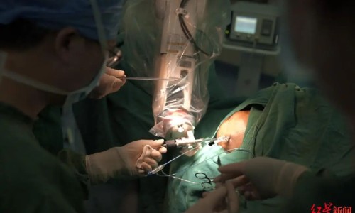 孕妇梦见蛇预示男孩女孩?-孕妇梦见蛇预示着什么,中国孕妇梦见蛇网站
