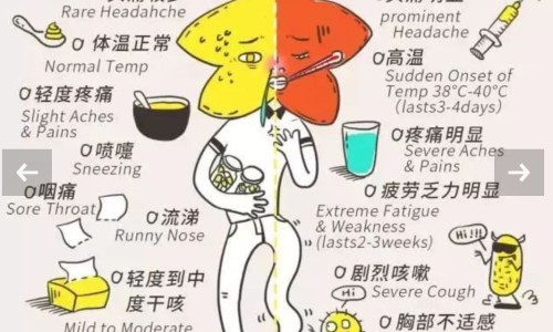 孕妇梦见蛇预示男孩女孩?-孕妇梦见蛇预示着什么,中国孕妇梦见蛇网站