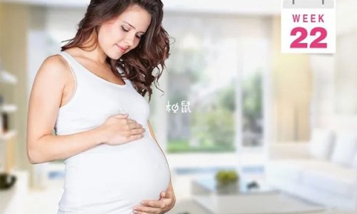 孕妇梦见蛇被自己打死了预示着什么意思-孕妇梦见蛇预示男孩女孩?-孕妇梦见蛇预示着什么,中国孕妇梦见蛇网站